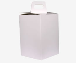 Boite à Urne Carton Blanc