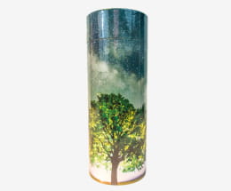 Urne Carton Arbre de Vie