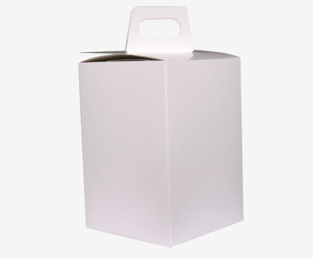 Boite à Urne Carton Blanc