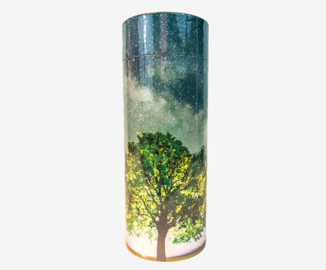 Urne Carton Arbre de Vie