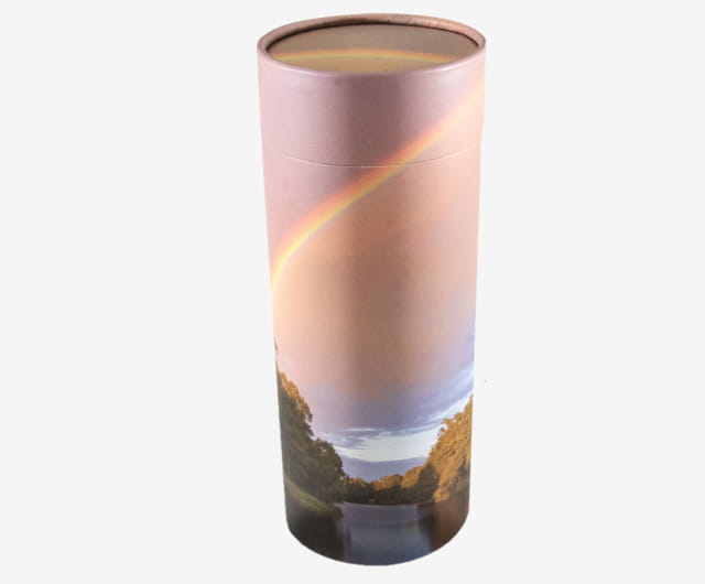 Urne Carton Arc en Ciel