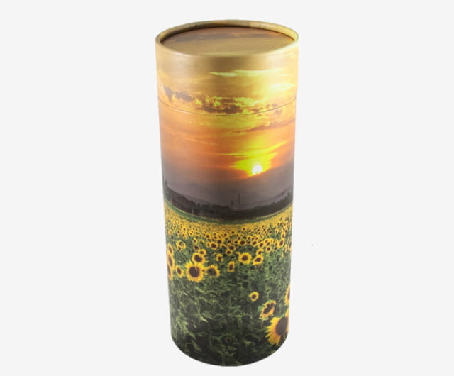 Urne Carton Tournesols
