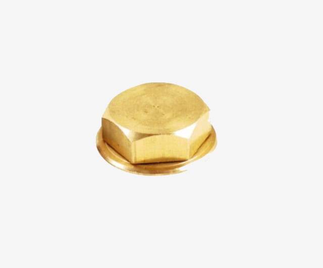 Cache Vis Hexagonale